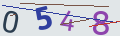 verifycode